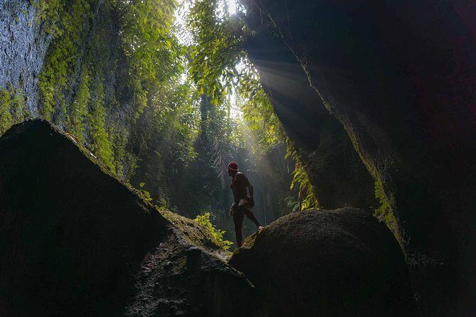 Ubud Swing, Rice Terrace and Waterfall Highlights Tour - Exploring the Natural Beauty of Bali with a Personal Touch