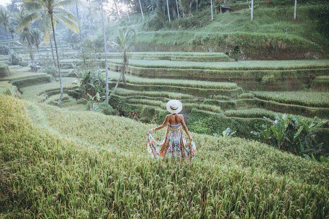 Ubud Swing, Rice Terrace and Waterfall Highlights Tour - Who Will Love This Tour?