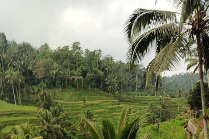 UBUD : Temple and Waterfall All Inclusive Day Tour - The Sum Up: Who Will Love This Tour?