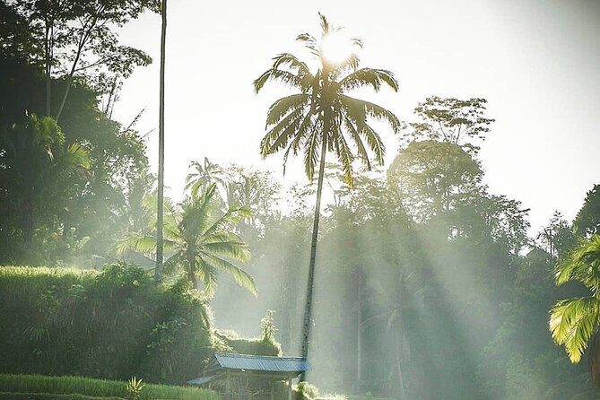 Ubud Temples, Waterfalls, Rice Terraces & Balinese Culture - FAQ