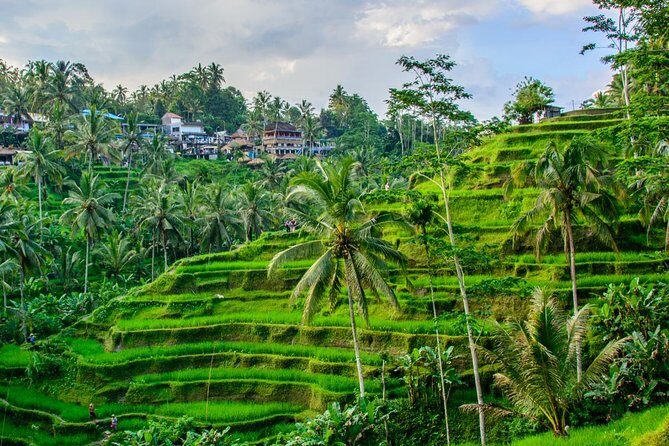 Ubud Tirta Empul Temple Blissful Cleansing - FAQ