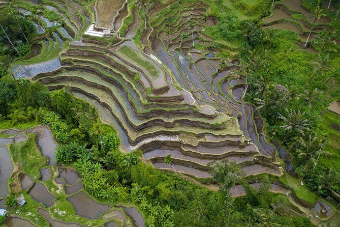Ubud Top Attractions: Waterfalls, Temples and Rice Terraces - About Hire Bali Driver