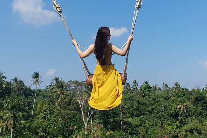 Ubud Tour: All around Ubud Full-Day Tour - Key Points