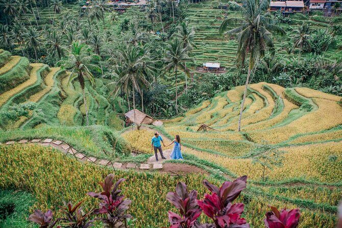 Ubud Tour - Best of Ubud - All Inclusive - Authenticity and Value: What Travelers Say