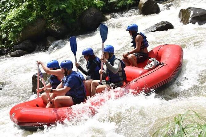 Ubud Tour by Scooter - Exploring Bali on Two Wheels: A Close Look at the Ubud Scooter Tour