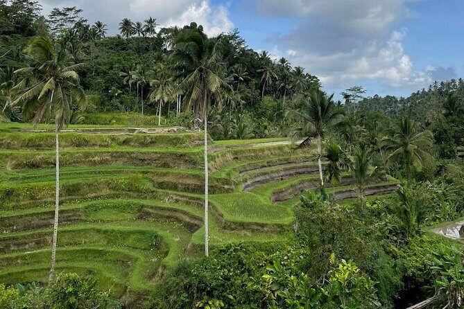 Ubud Tour - Highlight of Ubud - Traditional Tour - Summary: The Value Proposition