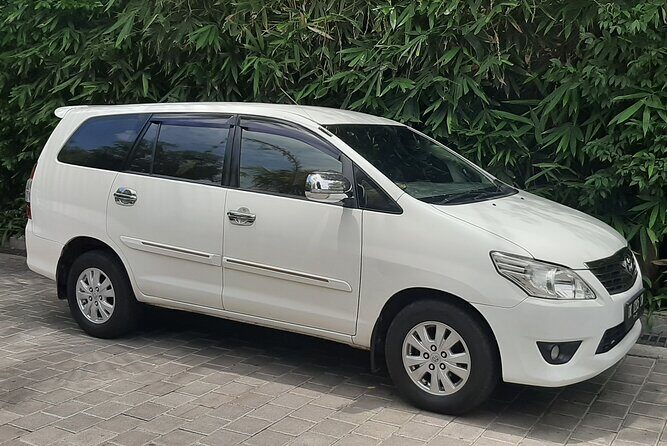 Ubud Tour - Highlights of Ubud - Authentic Experience and Real-World Insights