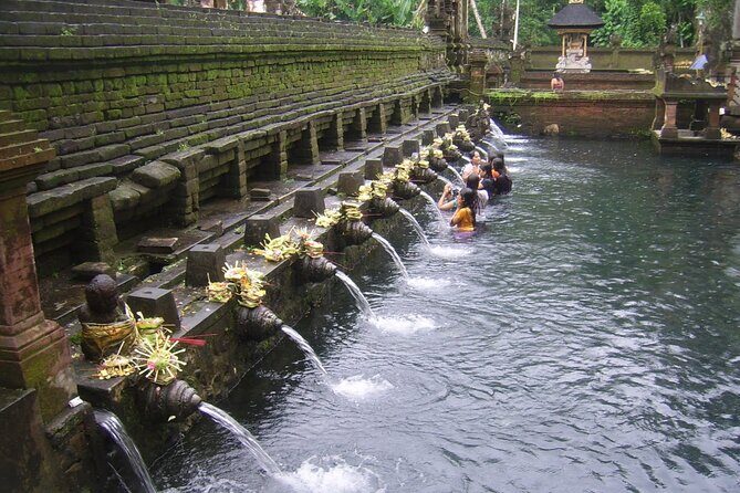 Ubud Tour : Monkey forest, Rice terrace, Water temple, Waterfall & Jungle Swing - An In-Depth Look at the Ubud Tour Experience
