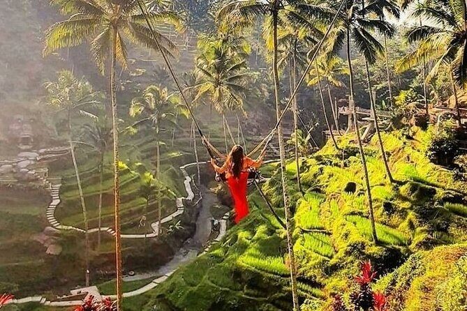 Ubud Tour (Monkey Forest, Tirta Empul Temple, Waterfall, Rice Terrace and Swing) - Exploring Bali’s Heart: A Deep Dive into the Ubud Tour