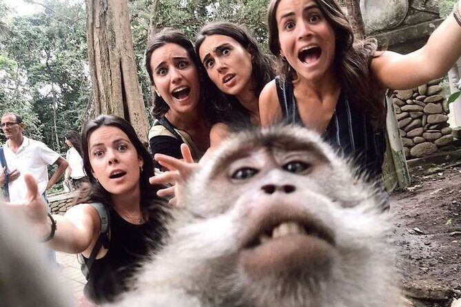 Ubud Tour (Monkey Forest, Tirta Empul Temple, Waterfall, Rice Terrace and Swing) - FAQ