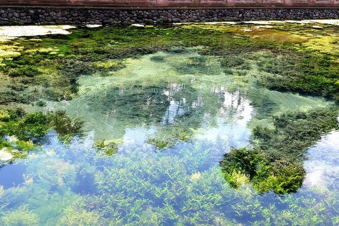 Ubud Tour - Ubud Highlight - Private Tour All inclusive - FAQs