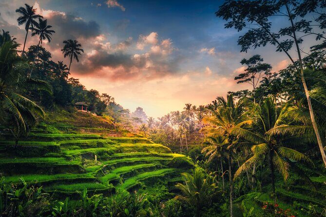 Ubud waterfall, rice terraces, and swing explore - Key Points