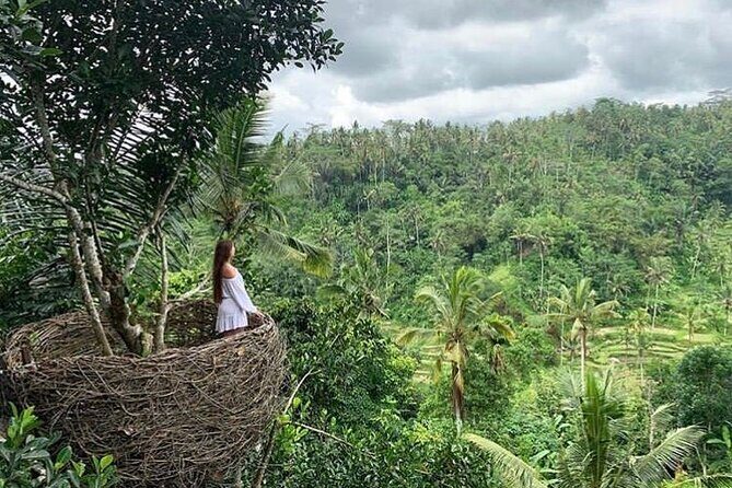 Ubud waterfall, rice terraces, and swing explore - Who Is This Tour Best For?