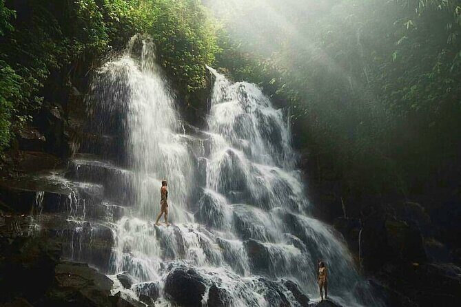 Ubud Waterfalls, Temple and Rice Terrace - Private Tour - Who This Tour Is Best For