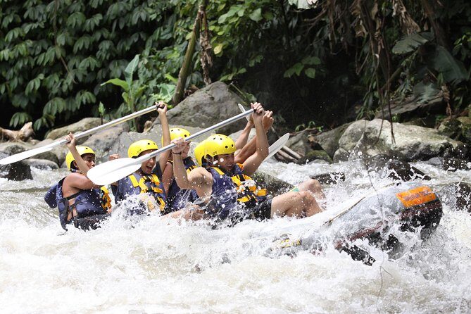 Ubud White Water Rafting, Rice Terrace and Jungle Swing - Frequently Asked Questions