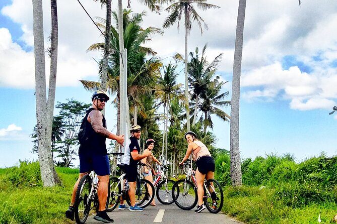 Ubud Wonderful Afternoon Downhill Cycling Tour - Final Thoughts