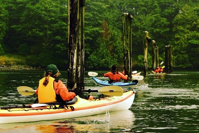 Ucluelet Harbour Tour - Ucluelet Harbour Tour: A Guided Kayaking Adventure on Vancouver Island