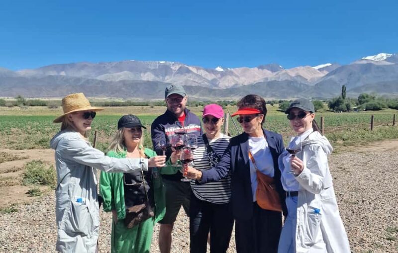 Uco Valley, Mendoza: One-Day Private Wine Tour Experience - Possible Drawbacks or Considerations