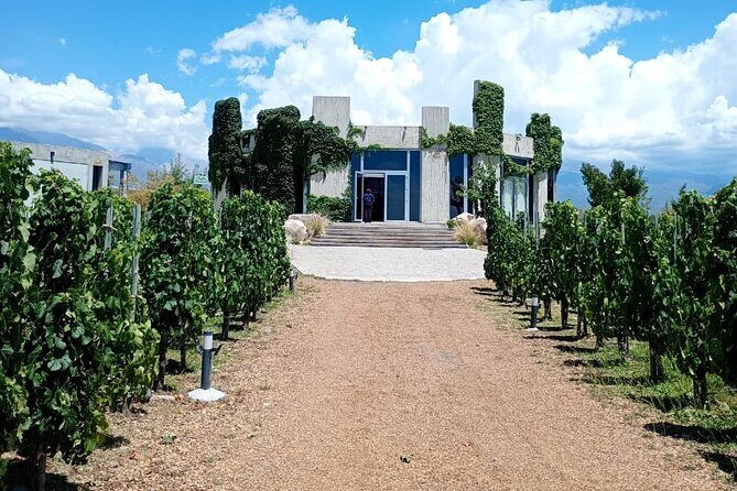 Uco Valley Wine Experience - Private - The Best Wine Tour & Lunch - Key Points