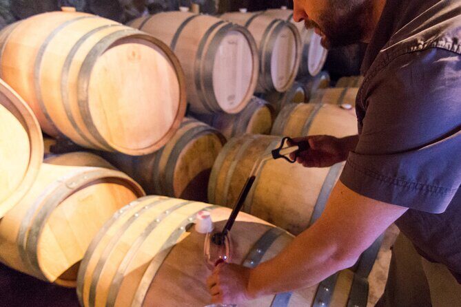 Uco Valley Wine Experience - Private - The Best Wine Tour & Lunch - Why This Tour Stands Out