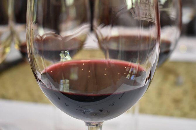 Uco Valley Wine Tour - Exploring the Uco Valley Wine Tour: A Deep Dive