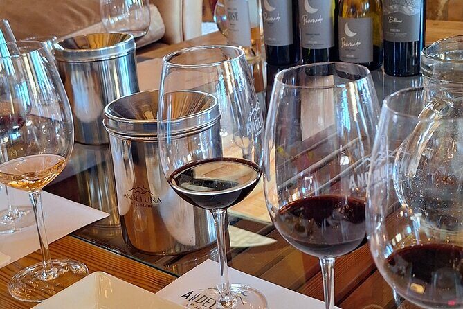 Uco Valley Wineries Day with Private Driver - Key Points