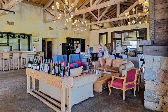 Uco Valley Wineries Day with Private Driver - An In-Depth Look at the Uco Valley Wineries Day Tour