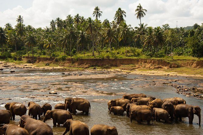 Uda Walawa Safari 1-Day-Tour from Mirissa, Weligama, Ahangama - FAQ