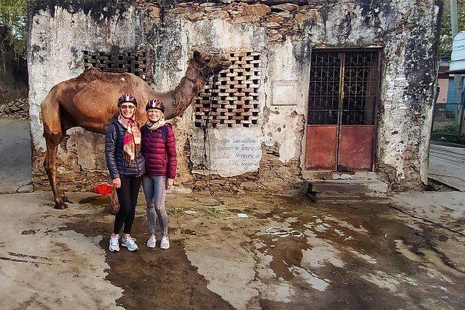 Udaipur Bicycle Tour - Final Thoughts