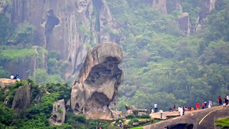 Udaipur: Mount Abu and Dilwara Temples Private Tour - How much is this tour worth?