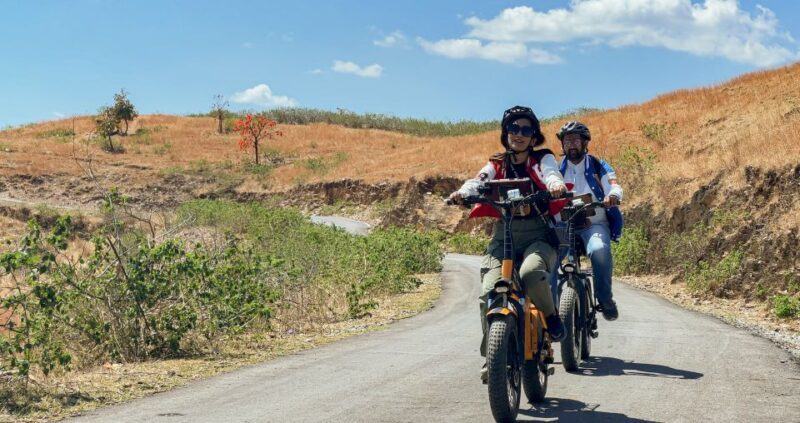 Udaipur: Off-the-Beaten Path Guided E-Bike Tour - An In-Depth Look at the Udaipur E-Bike Tour