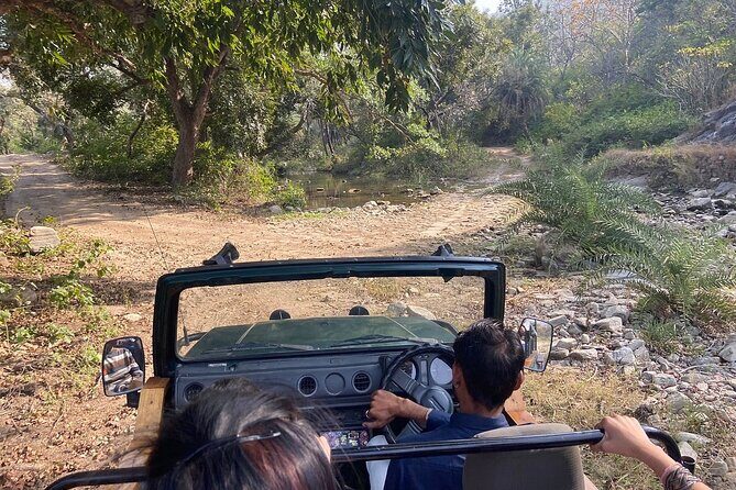 Udaipur to Kumbhalgarh and Ranakpur Day Tour with Wildlife - Final Thoughts