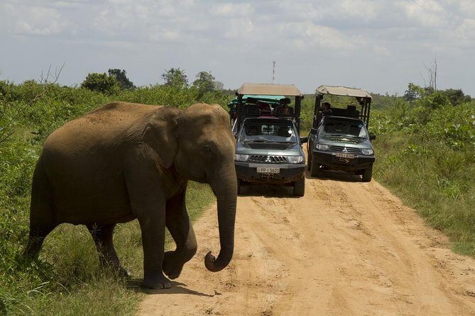 UDAWALAWA National Park ALL INCLUSIVE Tour with PICK UP INCLUDED - Who Is This Tour Best For?
