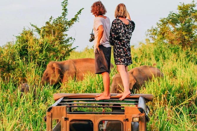 Udawalawa National Park Safari - An Authentic Sri Lankan Safari Experience with a Touch of Local Charm