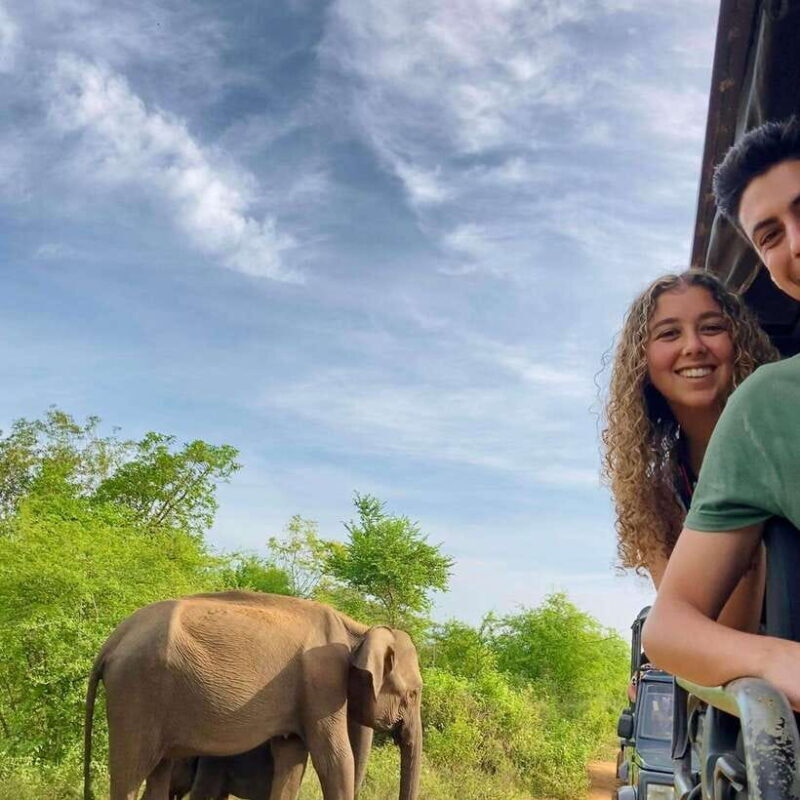 Udawalawa National Park: Safari & Elephant Transit Home Tour - More Details to Consider