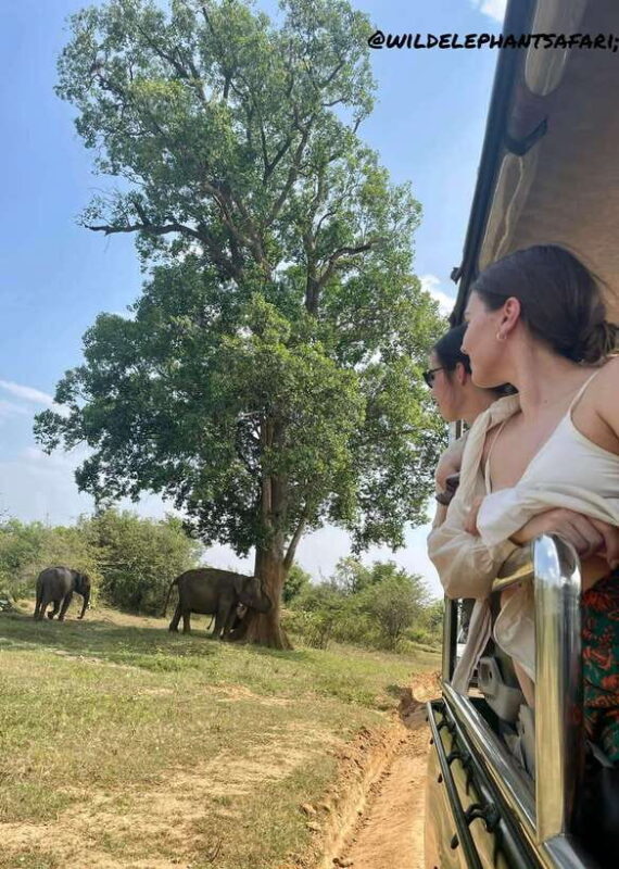 Udawalawa National Park: Safari & Elephant Transit Home Tour - Authentic Experiences and Real Insights from Travelers