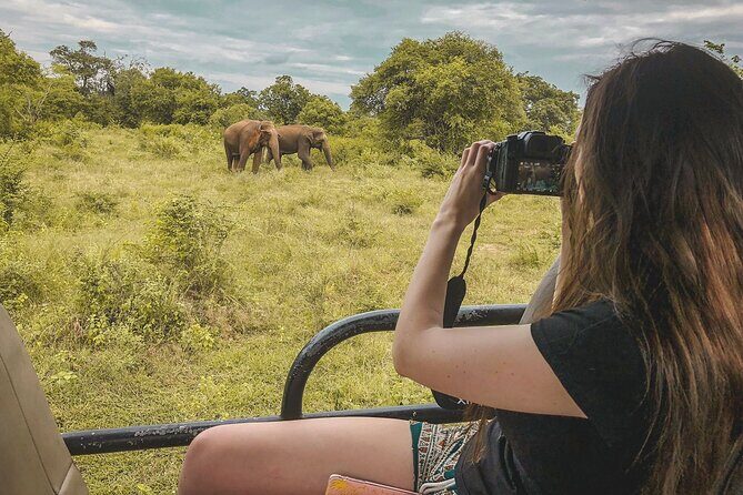 Udawalawa Safari Drive From Galle, Weligama, Mirissa & Dickwella - Key Points