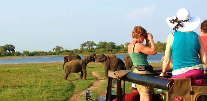 Udawalawa: Udawalawa National Park Safari Tour - Frequently Asked Questions