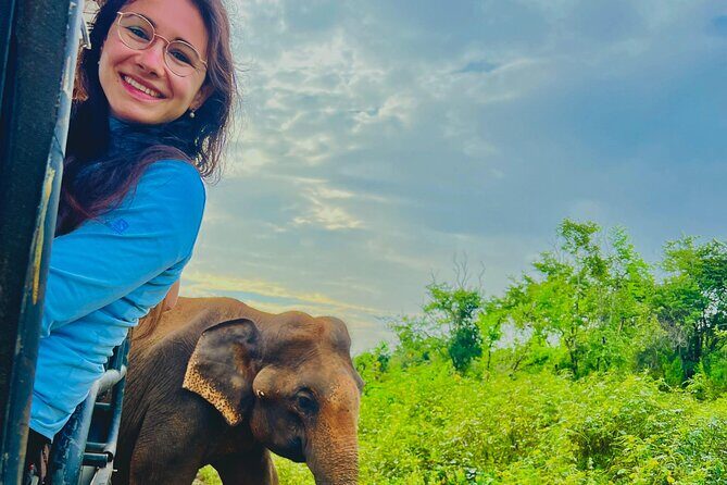 Udawalawa Wild Life Safari - A Detailed Look at the Udawalawa Wild Life Safari