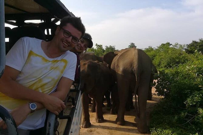 Udawalawe City to Hikkaduwa City Private Transfer - Who Will This Transfer Suit Best?