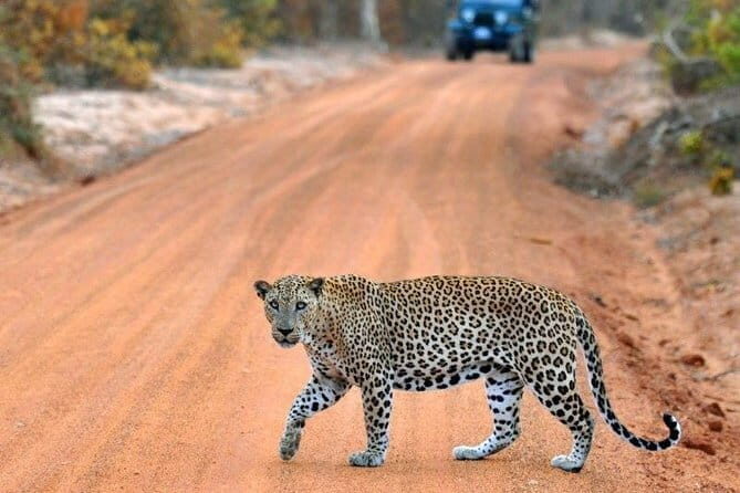 Udawalawe National Park Adventure - Frequently Asked Questions