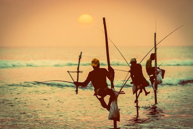 Udawalawe National Park Adventure - Final Thoughts