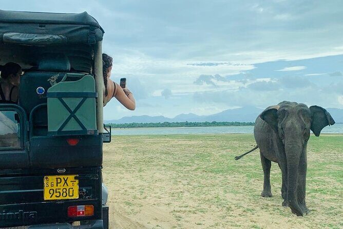 Udawalawe National Park Day trip - Key Points