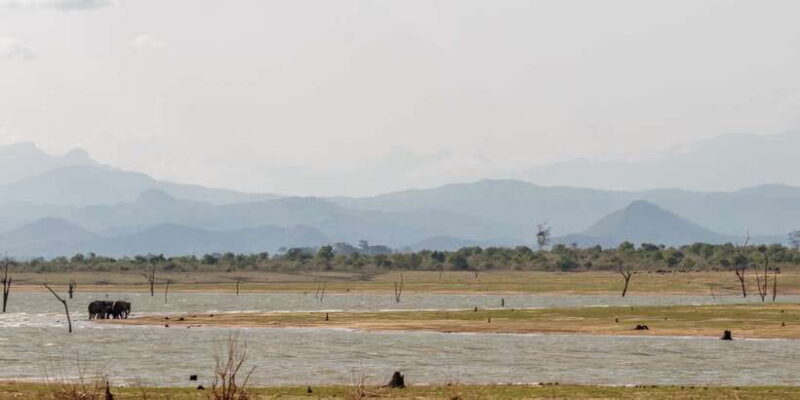 Udawalawe National Park Private Full-Day Safari - Udawalawe National Park Private Full-Day Safari: An Authentic Wildlife Adventure in Sri Lanka