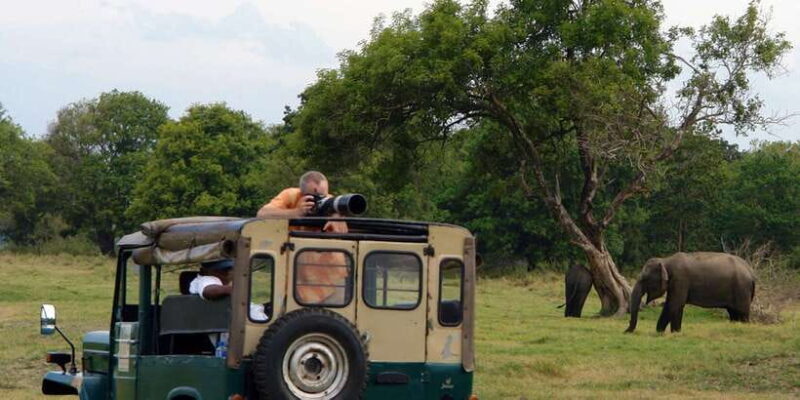 Udawalawe National Park Private Full-Day Safari - Authentic Experiences That Shine