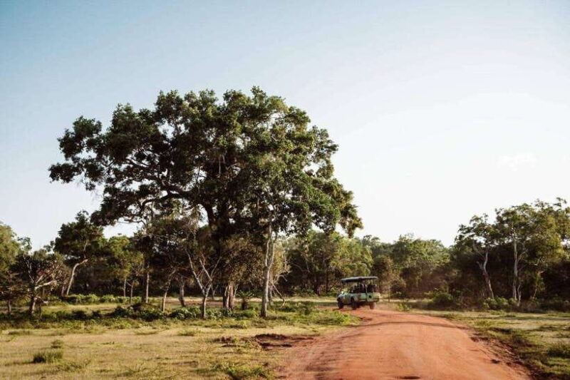 Udawalawe National Park: Private Safari From Colombo - An Honest Look at the Safari Experience