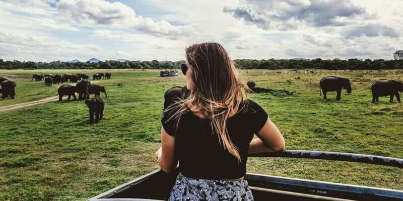 Udawalawe: National Park Safari & Elephant Transit Home Tour - Key Points