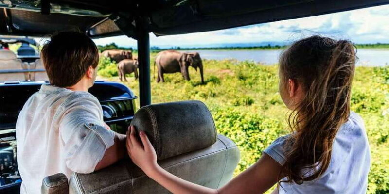 Udawalawe: National Park Safari & Elephant Transit Home Tour - A Closer Look at the Udawalawe Safari Experience