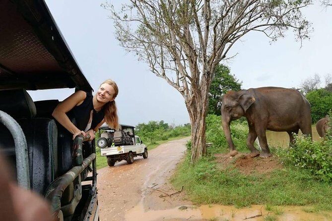 Udawalawe National Park Safari | From Mirissa | Galle | Weligama - Who Should Consider This Tour?