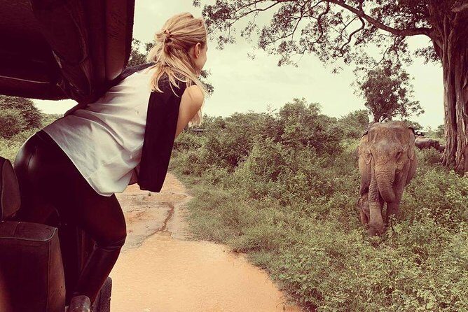 Udawalawe National Park Safari | From Mirissa | Galle | Weligama - FAQs